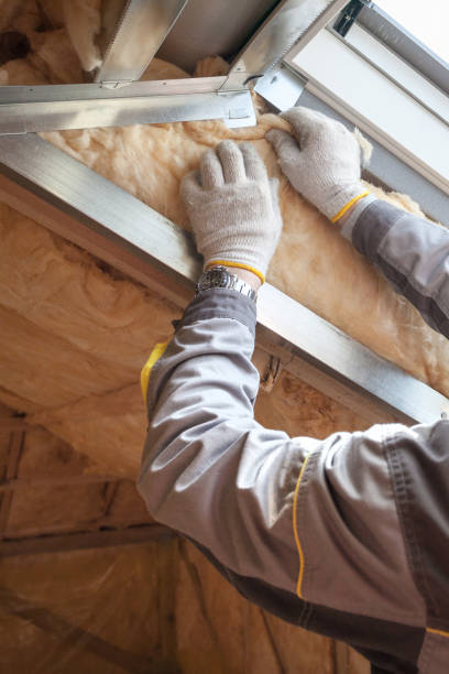 Best Specialized Insulation Services in Bradley, IL