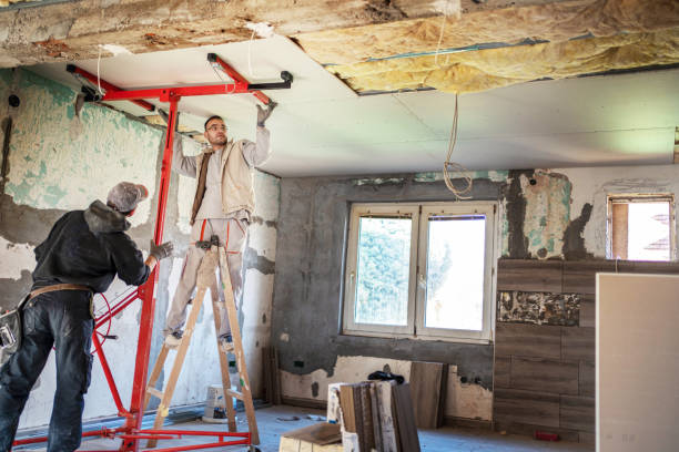 Best Specialized Insulation Services in Bradley, IL
