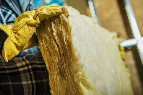Trusted Bradley, IL Insulation Contractor Experts