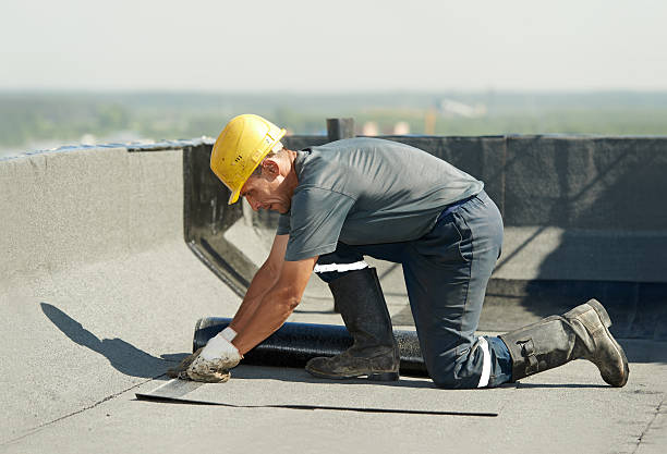 Best Cellulose Insulation in Bradley, IL