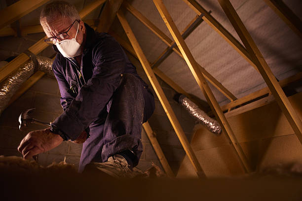 Best Insulation Maintenance and Repair in Bradley, IL